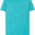Turquoise Heather