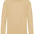 Desert Sand